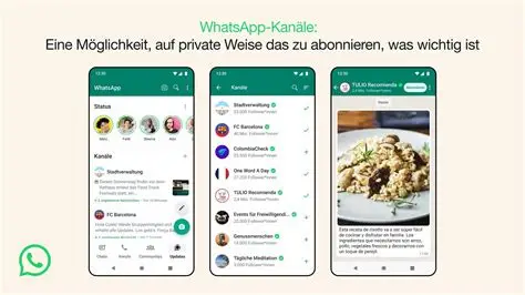 安卓手机如何安全下载WhatsApp？避开这些坑